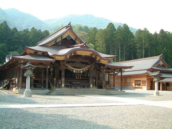 【群馬県内発】 第81回 新潟おいらん道中・越後大河津分水さくらまつり 弥彦神社のシダレサクラ 日帰り3